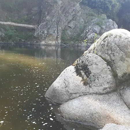La Felicite *